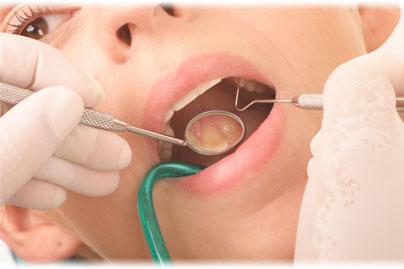 Maven Dental Cairns City - Dentist Find